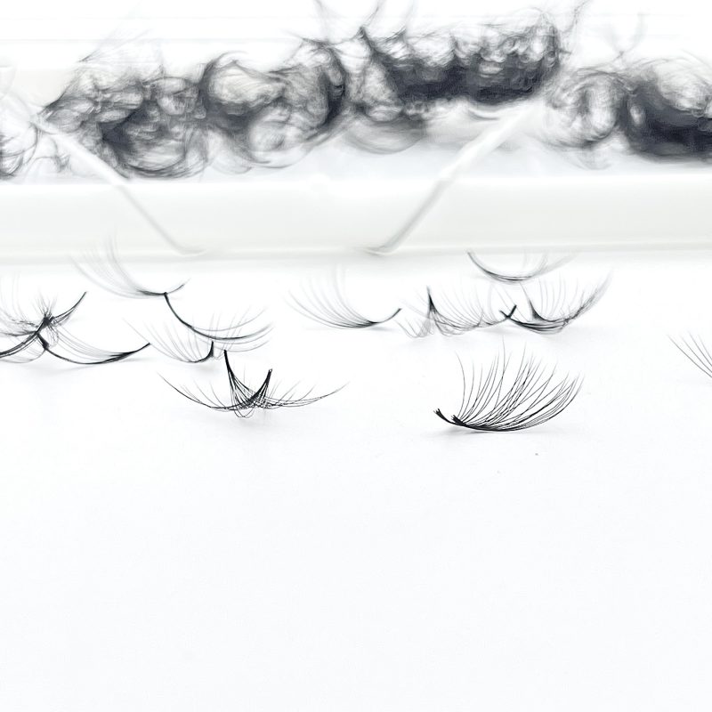 Premade Fans 14D ( 1000fans ) chaotic or Fixed on adhesive tape Royal